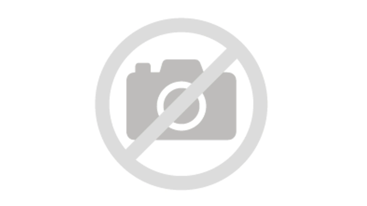 Honor Magic 8 Pro con MagicPad 4, 6 productos más