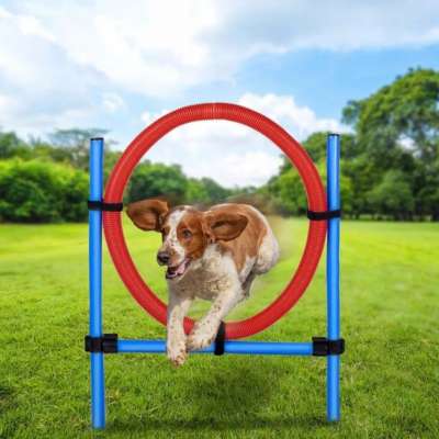 Maxxpro Agilidad Spring Ring Conjunto