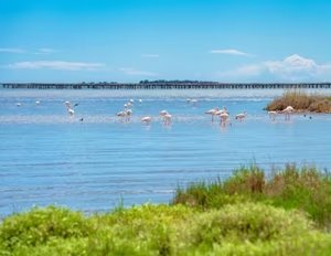 Hotel 3 Delta del Ebro con Desayuno Abr-Jun